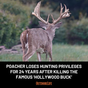 Image post by @outdoor_life on Instagram