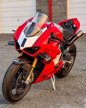 Image post by @panigalers on Instagram