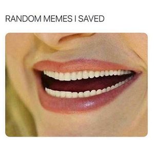 Image post by @the.virtual.bitch on Instagram