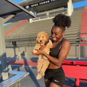 Image post by @ugatrack on Instagram