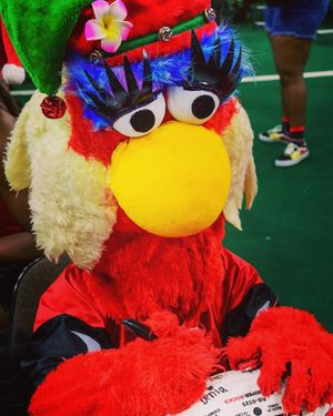 Image post by @jaxsharks on Instagram