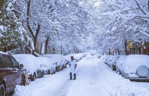 Image post by @mtl_unscripted on Instagram