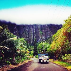 Image post by @olukai on Instagram