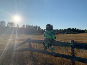 Image post by @blitztheseahawk on Instagram