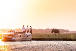 Image post by @chiawasafaris on Instagram