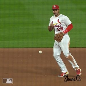 Image post by @cardinals on Instagram