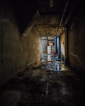 Image post by @bagoftrix on Instagram