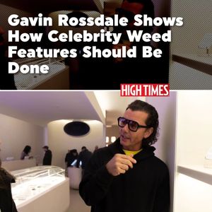 Image post by @hightimesmagazine on Instagram