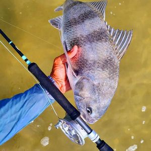 Image post by @toadfishoutfitters on Instagram