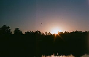 Image post by @bobo.studios on Instagram