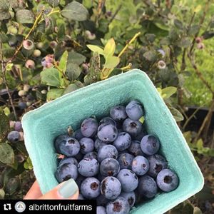 Image post by @visitsarasotacounty on Instagram