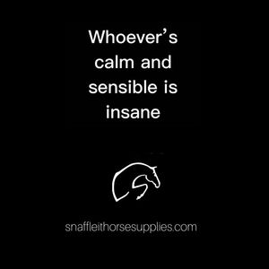Image post by @snaffle_it on Instagram