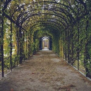 Image post by @lemondrop_social on Instagram