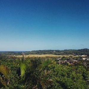 Image post by @dodomolinari on Instagram