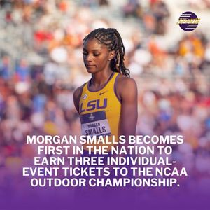 Image post by @lsutigertv on Instagram
