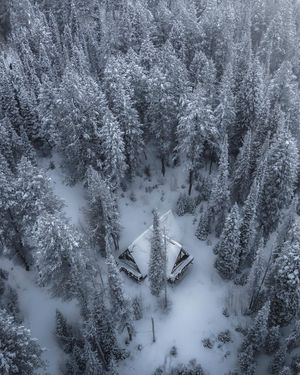 Image post by @aaron.k.baker on Instagram