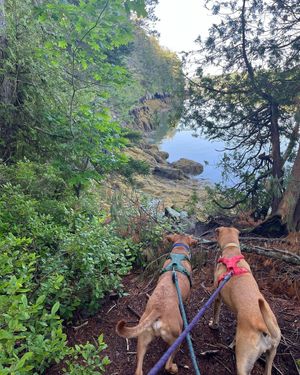 Image post by @evolvepetfood on Instagram
