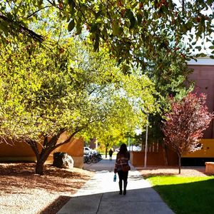 Image post by @nauflagstaff on Instagram