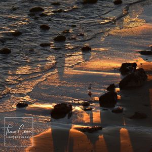Image post by @lightboximages on Instagram