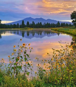 Image post by @nauflagstaff on Instagram