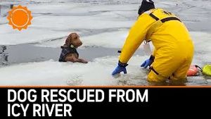 Video post by @accuweather on YouTube