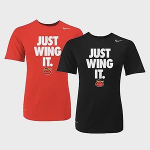 Image post by @rocredwings on Instagram
