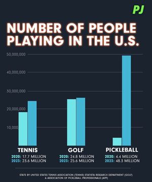 Image post by @thepickleballclinic on Instagram