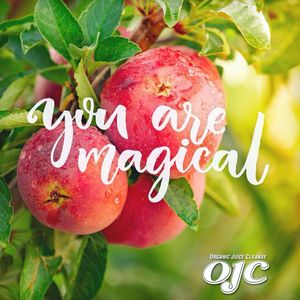 Image post by @organicjuicecleanse on Instagram