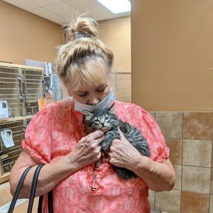Image post by @spokhumanesoc on Instagram