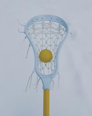 Image post by @primolacrosse on Instagram