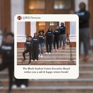 Image post by @bsustetson on Instagram