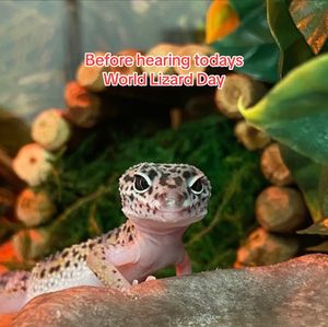 Video post by @petsmart on TikTok