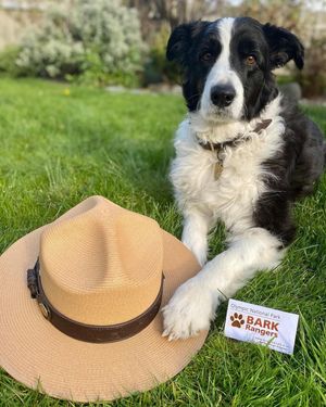 Image post by @nationalparkservice on Instagram