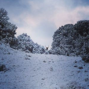 Image post by @meateater on Instagram