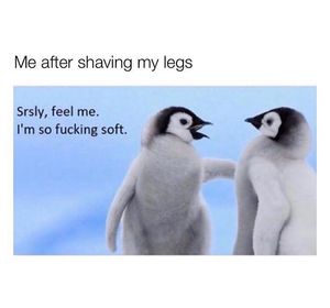 Image post by @the.virtual.bitch on Instagram