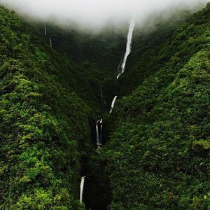 Image post by @olukai on Instagram