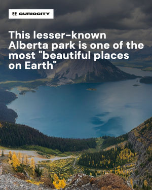 Image post by @curiocitycalgary on Instagram