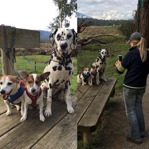 Image post by @snaffle_it on Instagram