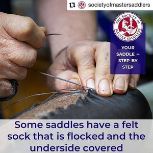 Image post by @performancesaddlefitssthsydney on Instagram