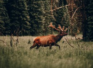 Image post by @trevorfrench on Instagram