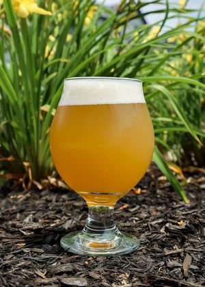 Image post by @reconbrewing on Instagram