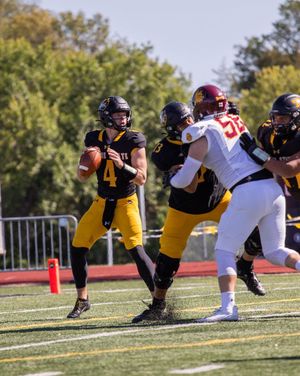 Image post by @waynestatefootball on Instagram