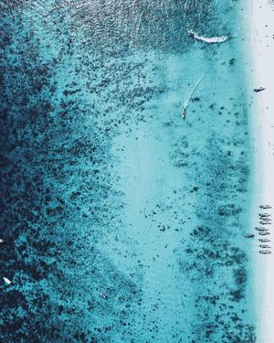 Image post by @dronepals on Instagram