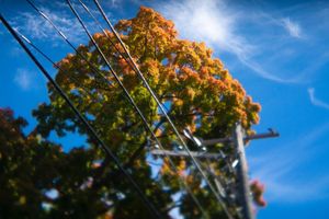 Image post by @fotodioxpro on Instagram