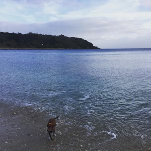 Image post by @rhysenoch1 on Instagram