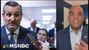 Video post by @msnbc on YouTube