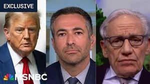 Video post by @msnbc on YouTube
