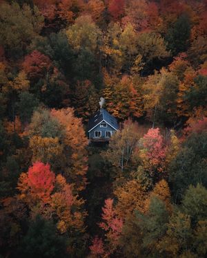 Image post by @aaron.k.baker on Instagram