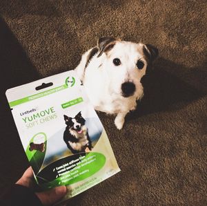 Image post by @yumove_usa on Instagram