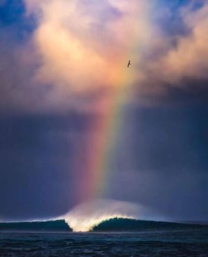 Image post by @fubiz on Instagram